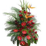 ųʻٵ